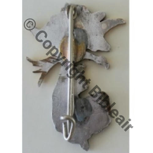 SECTION PHOTO LEGERE E.O  SM DBol non origine resoudes Dos lisse irreg Src.Y.GENTY Collect JM 